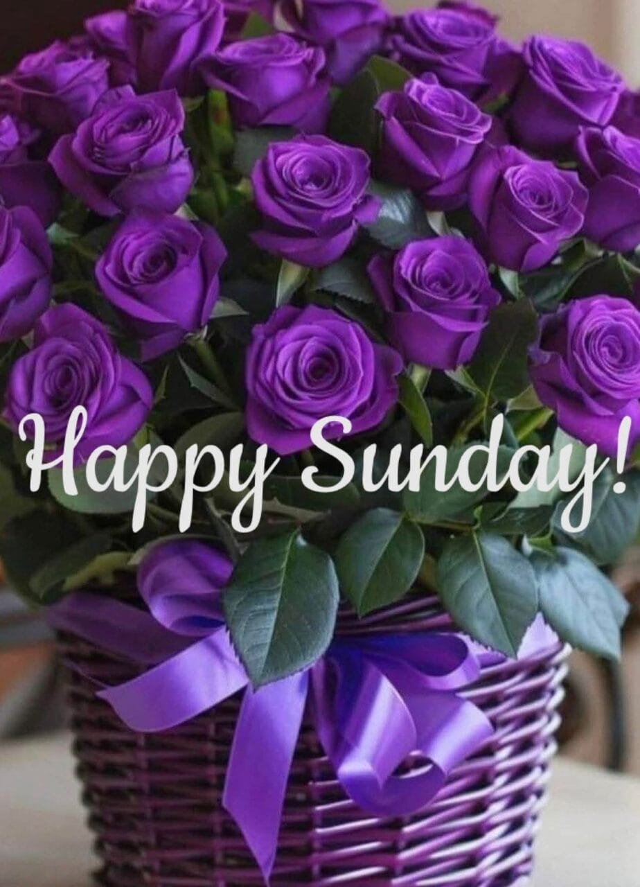 Good morning happy sunday