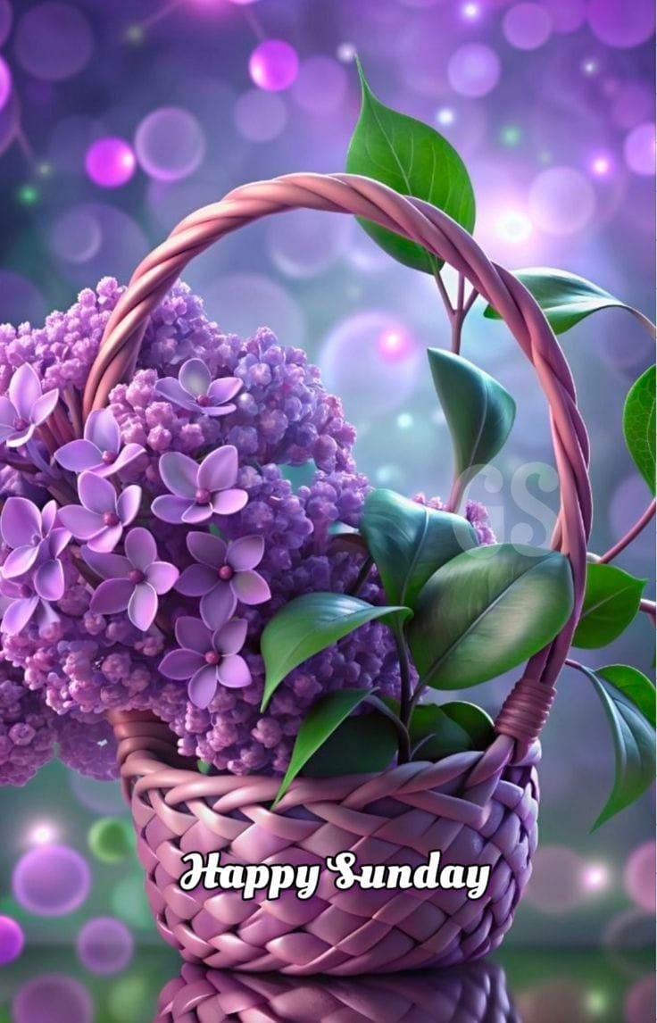 Good morning happy sunday