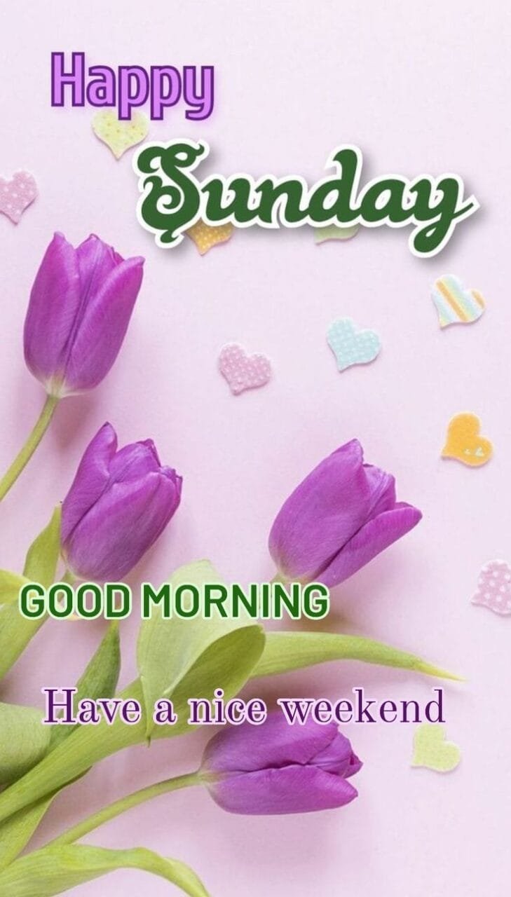 Good morning happy sunday