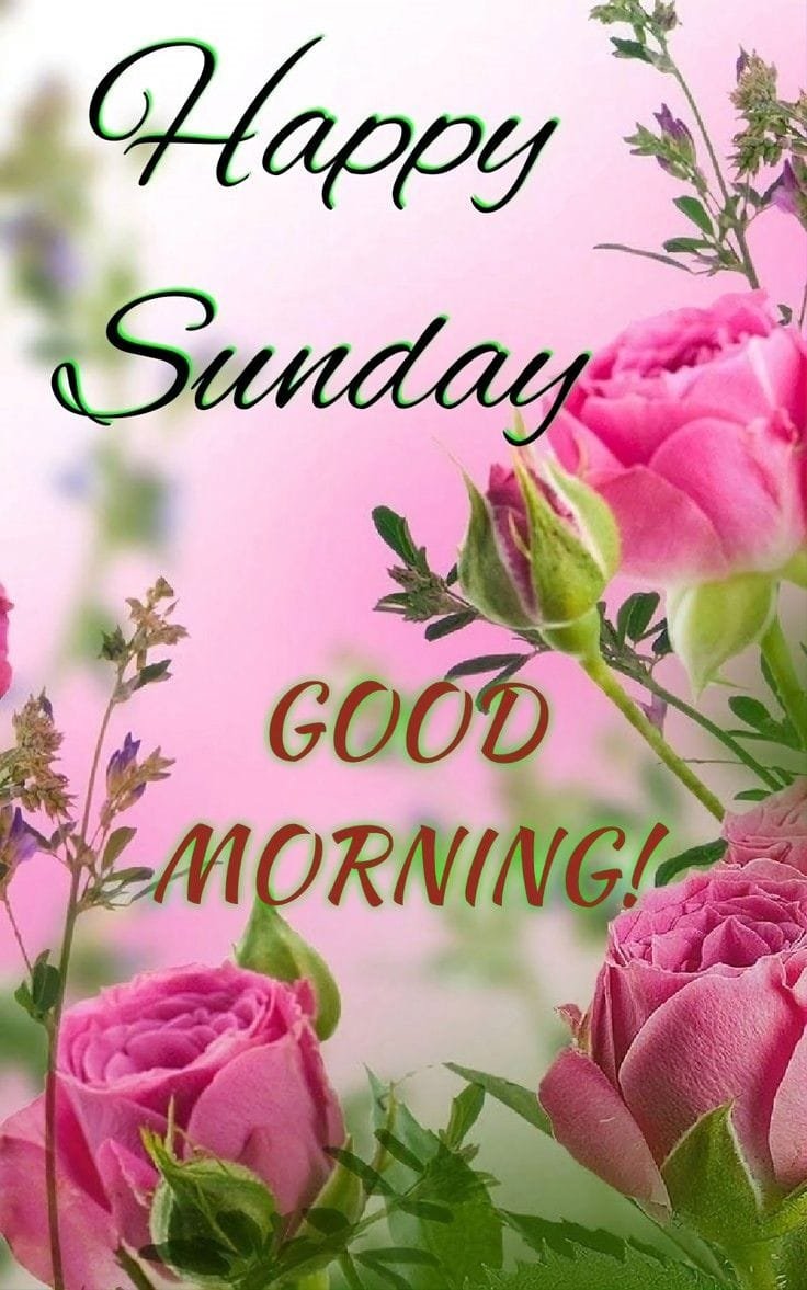 Good morning happy sunday
