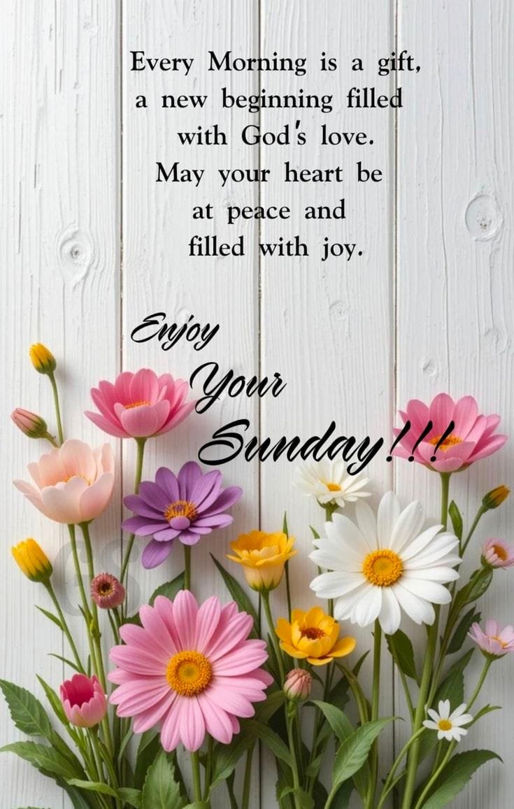 Good morning happy sunday
