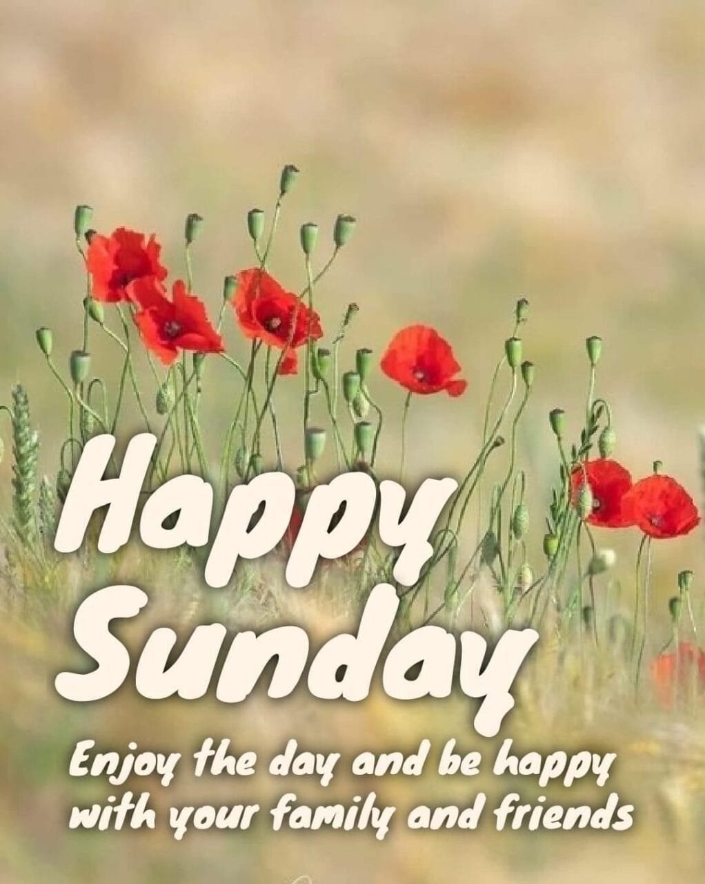 Good morning happy sunday