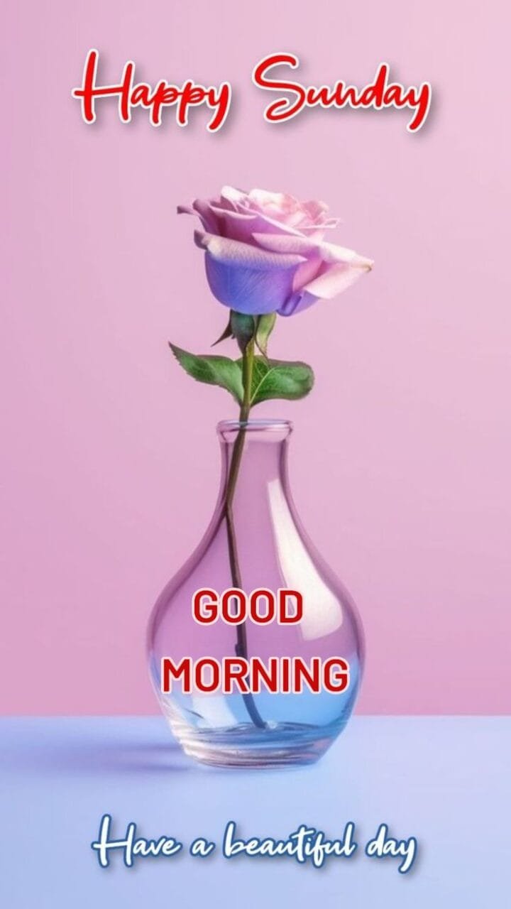 Good morning happy sunday