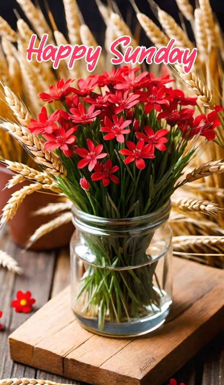 Good morning happy sunday