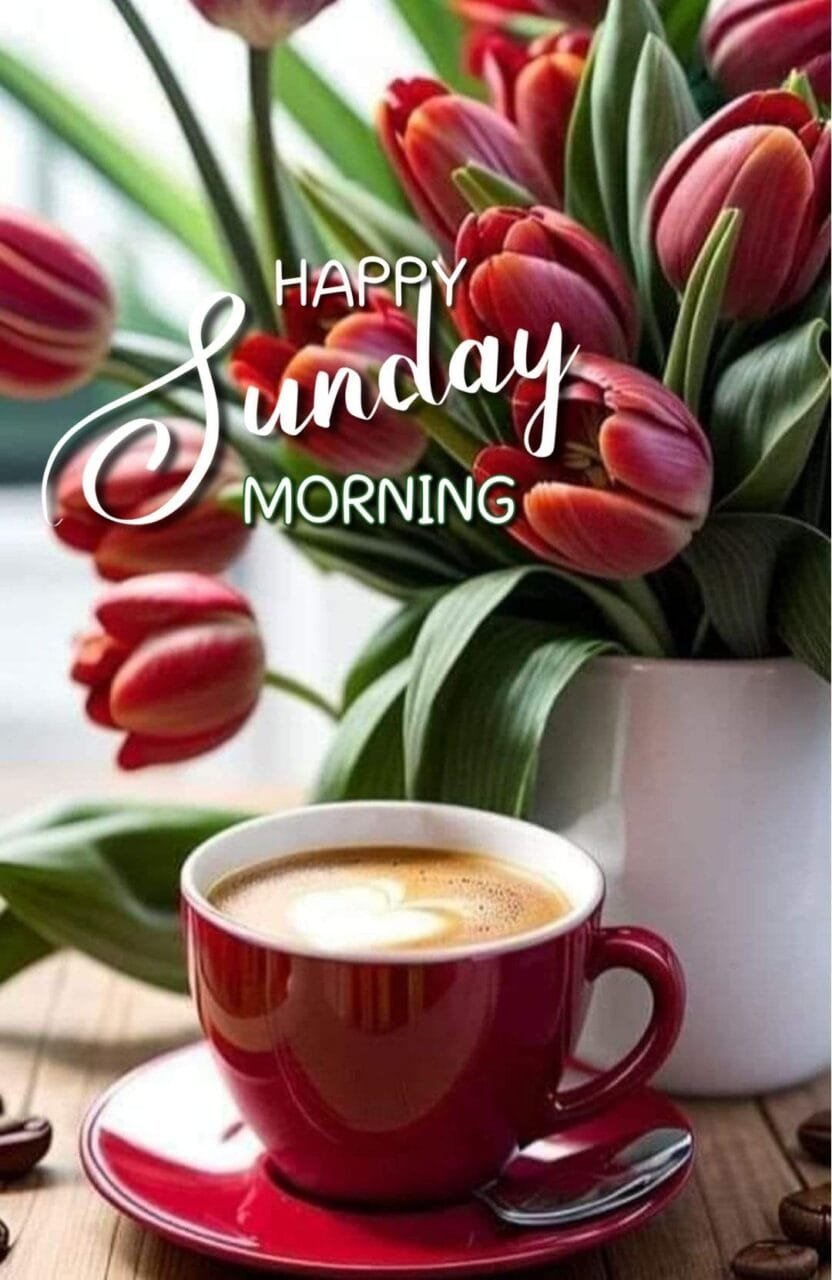 good morning happy sunday hd images