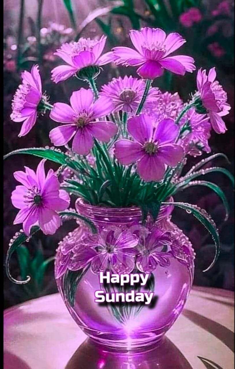 Good morning happy sunday