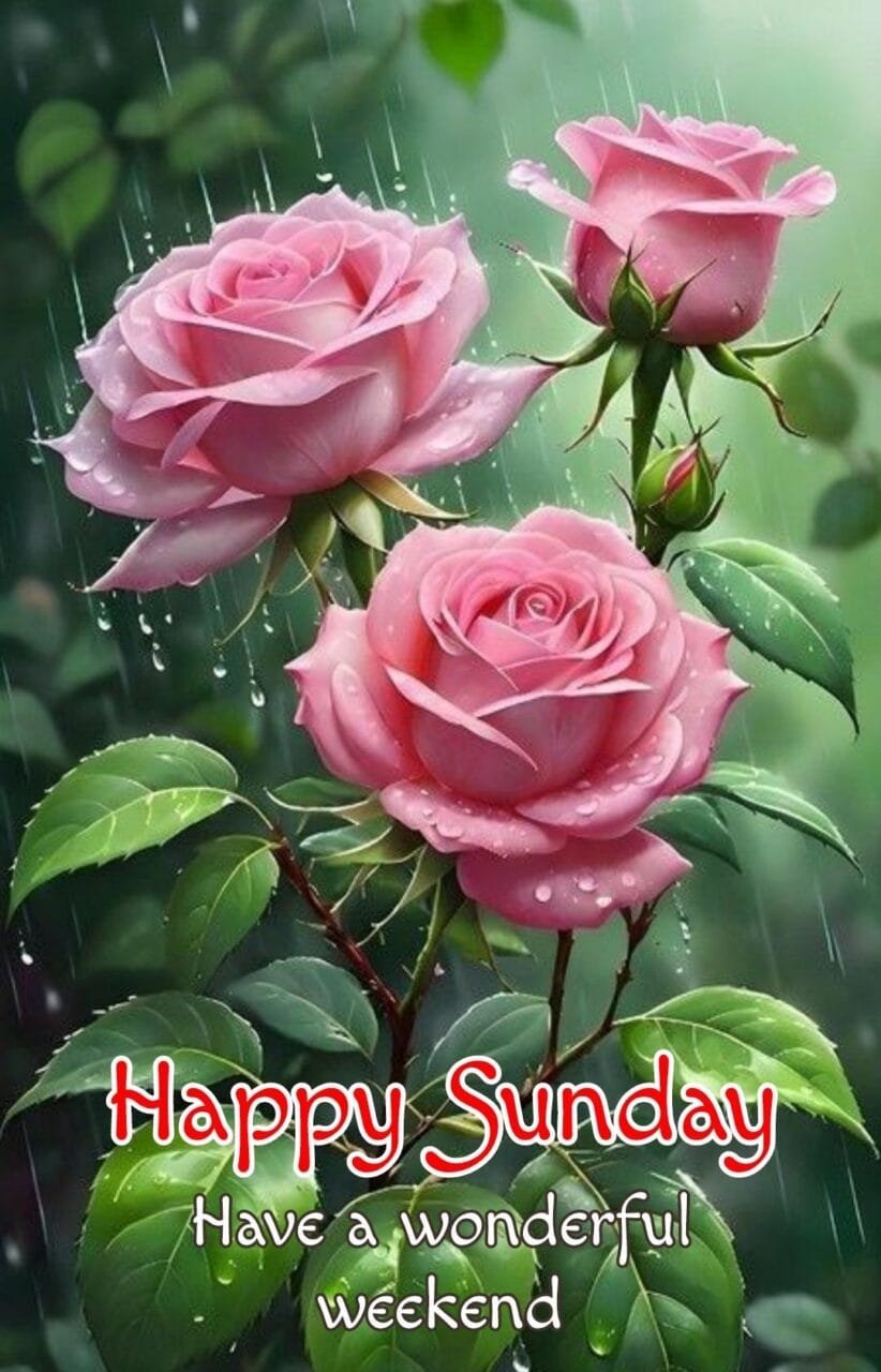 Good morning happy sunday