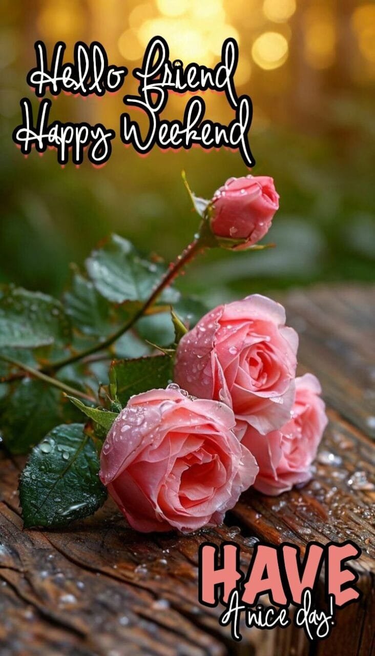 Good morning happy sunday