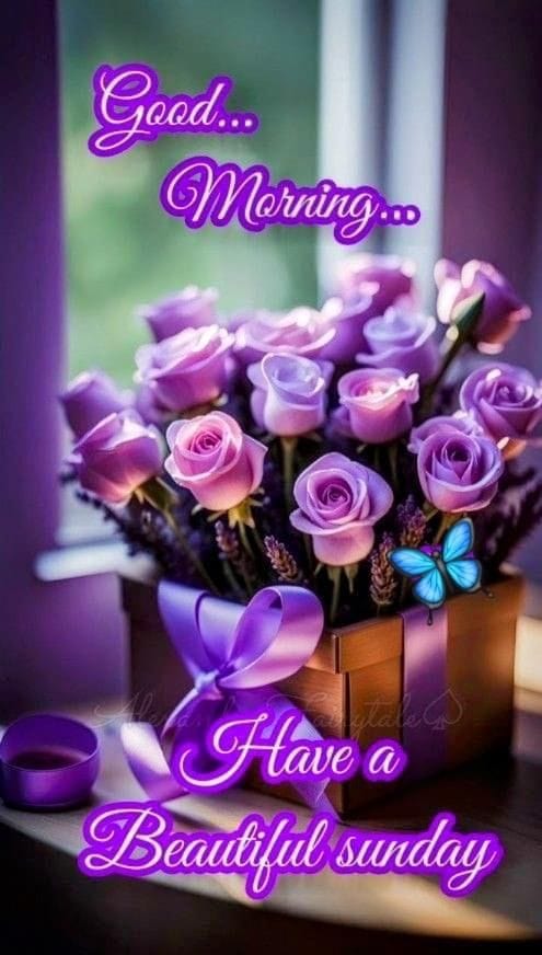 Good morning happy sunday