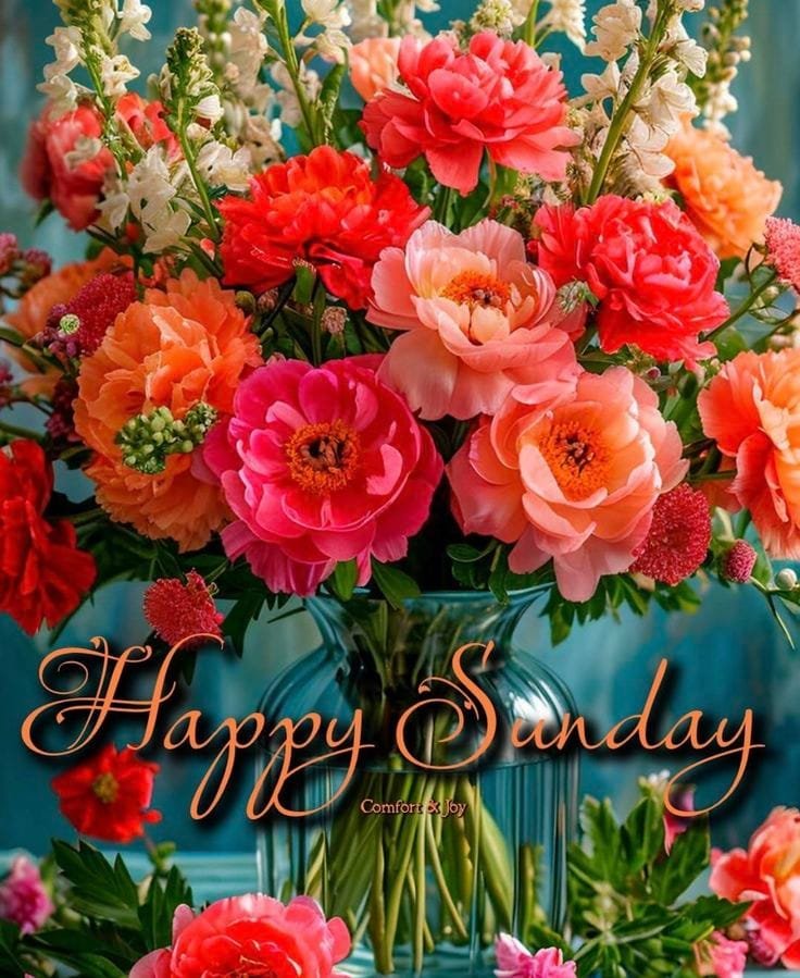 good morning happy sunday hd images