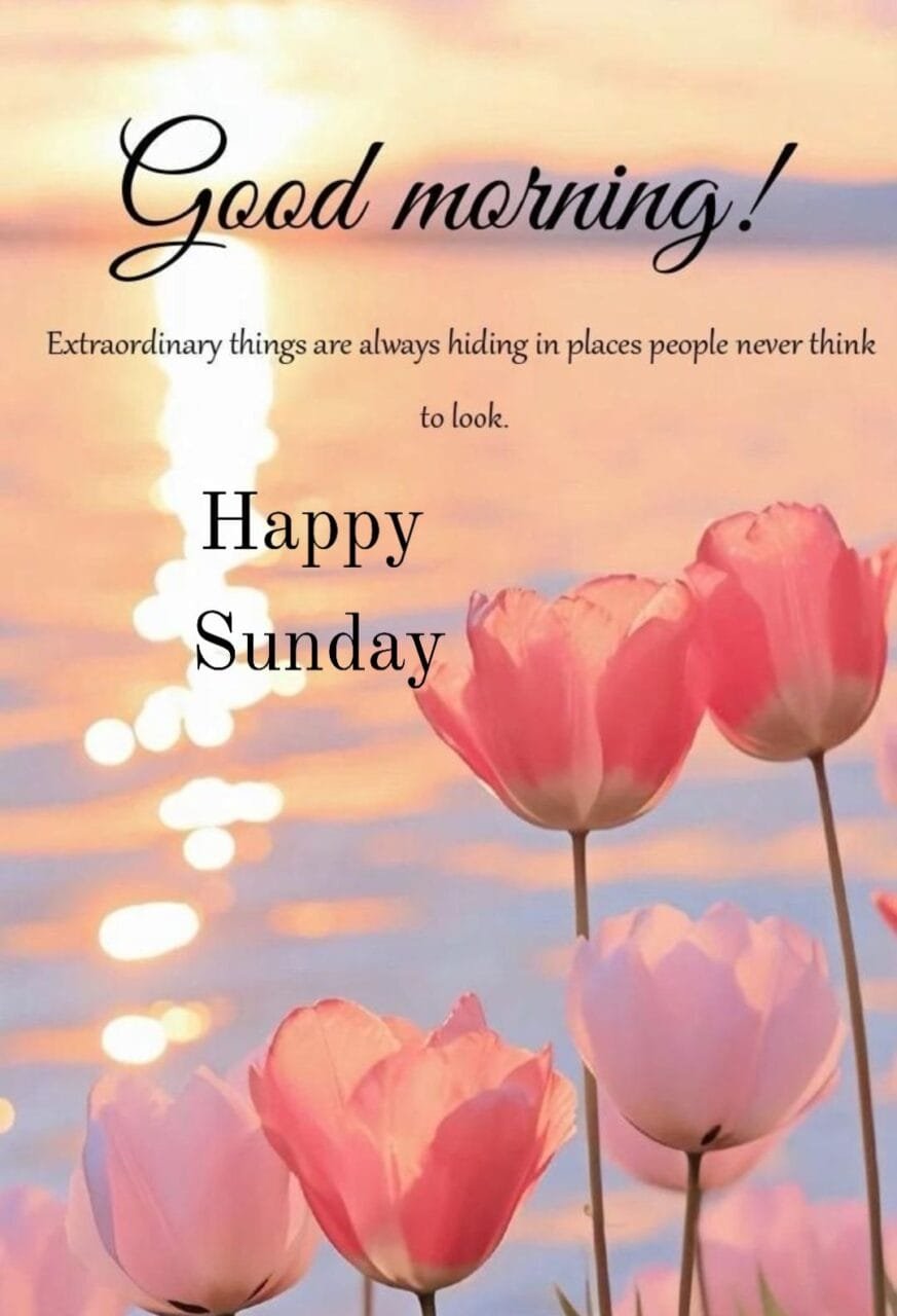 Good morning happy sunday