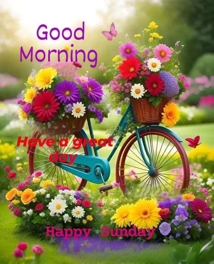 Good morning happy sunday