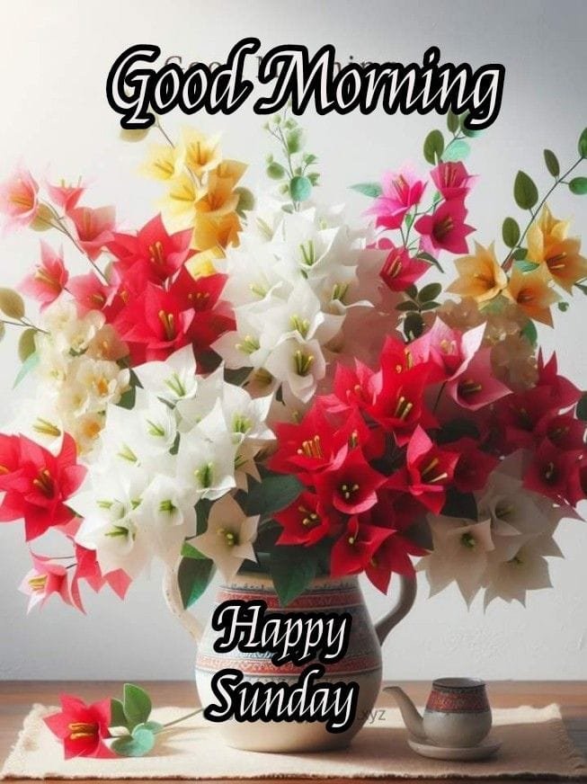 Good morning happy sunday