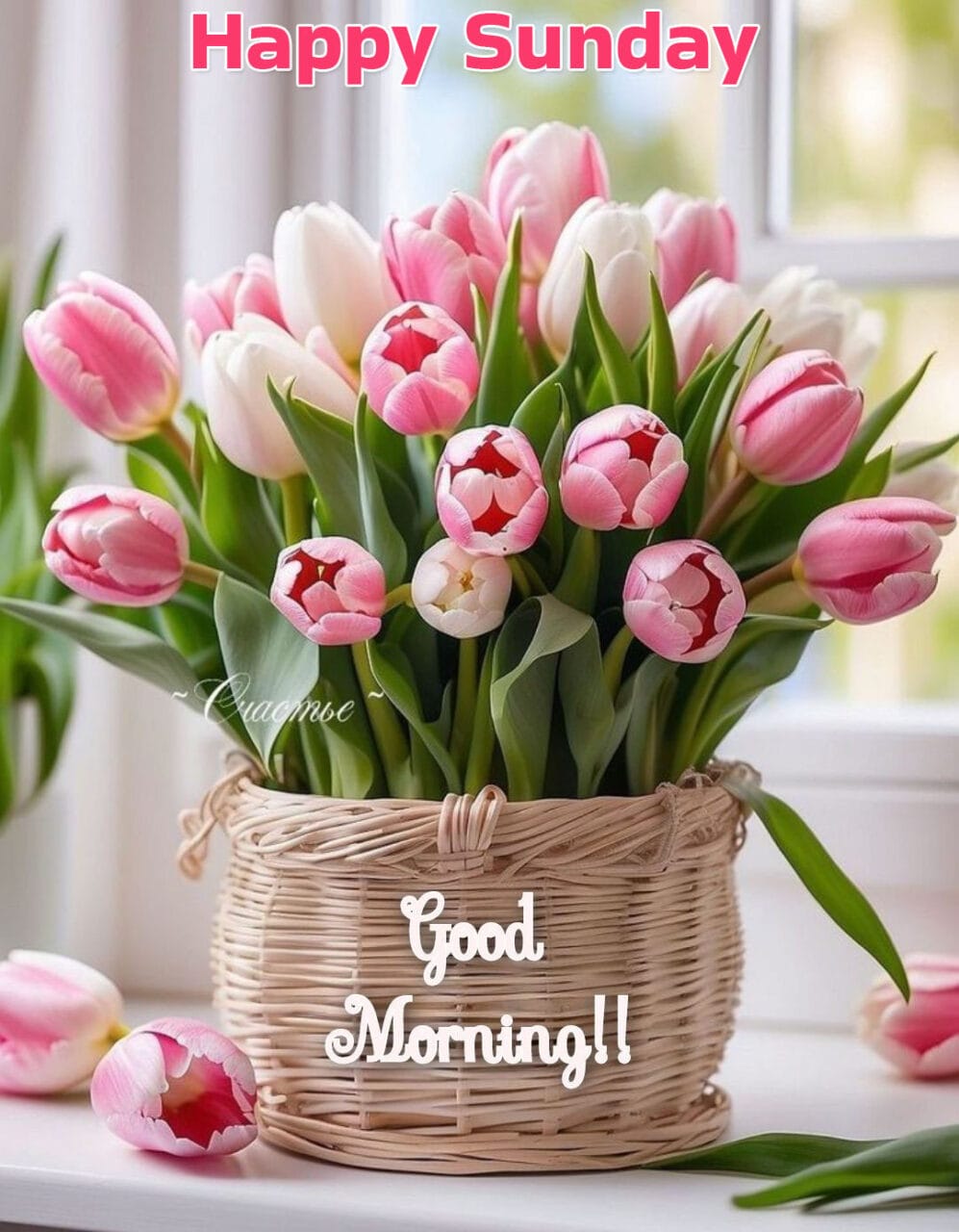 Good morning happy sunday cute