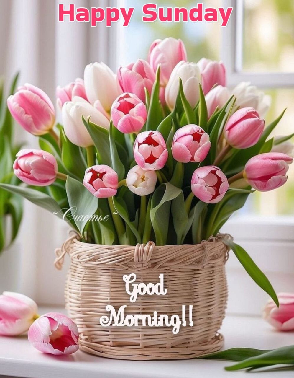 Good morning happy sunday cute