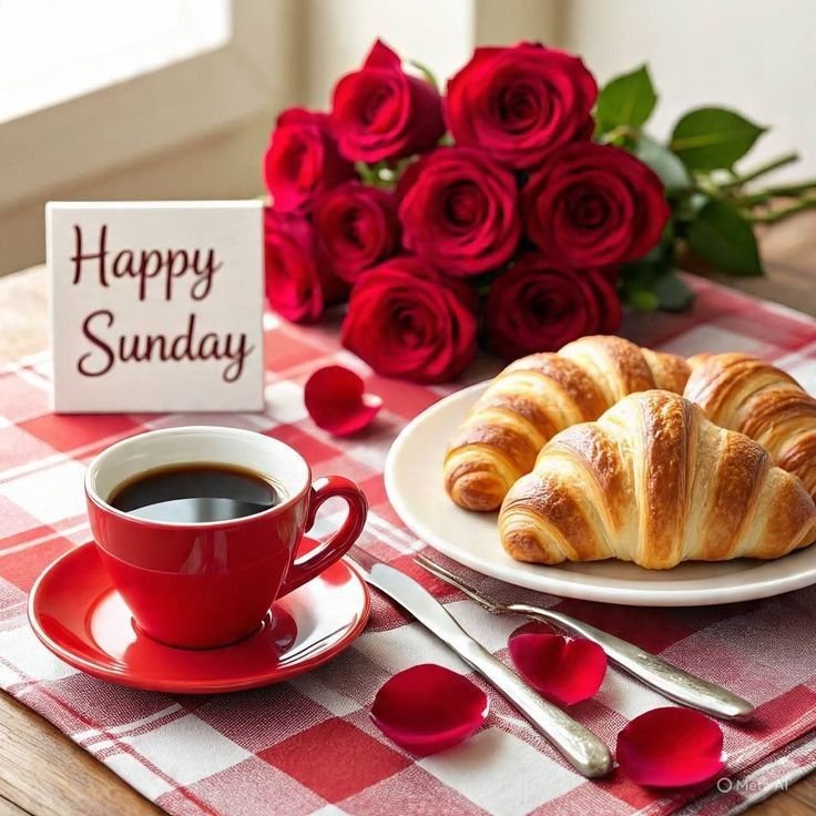 Good morning happy sunday friends