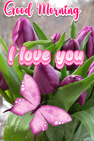 Good Morning I Love You Gif Cute