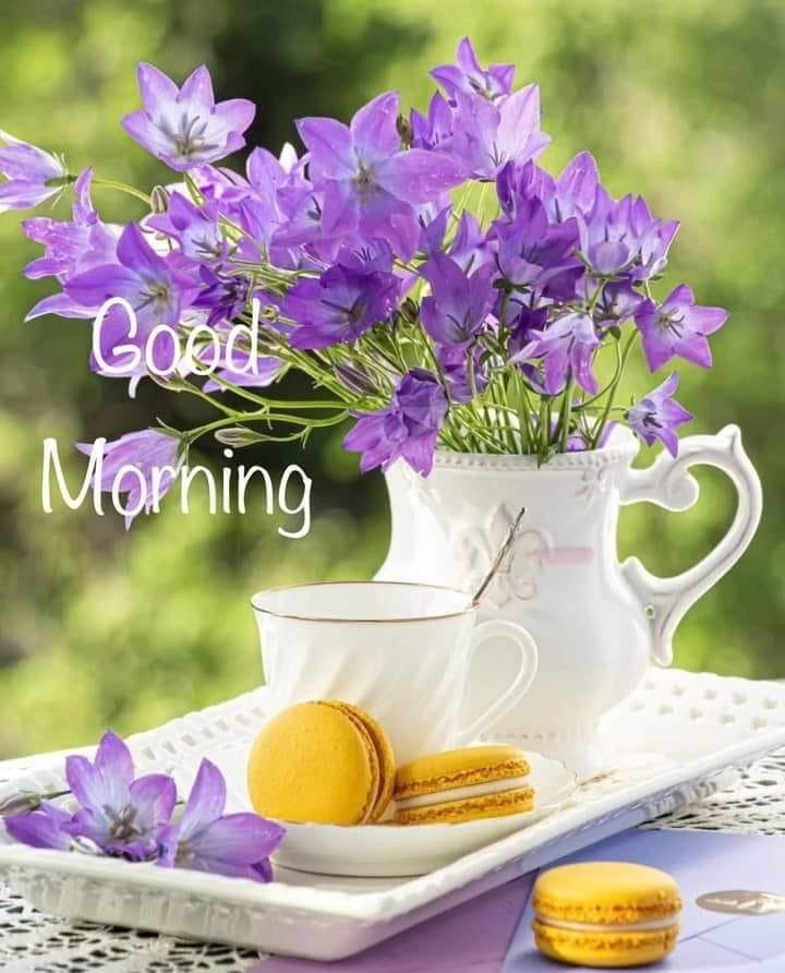 Good morning images (17)