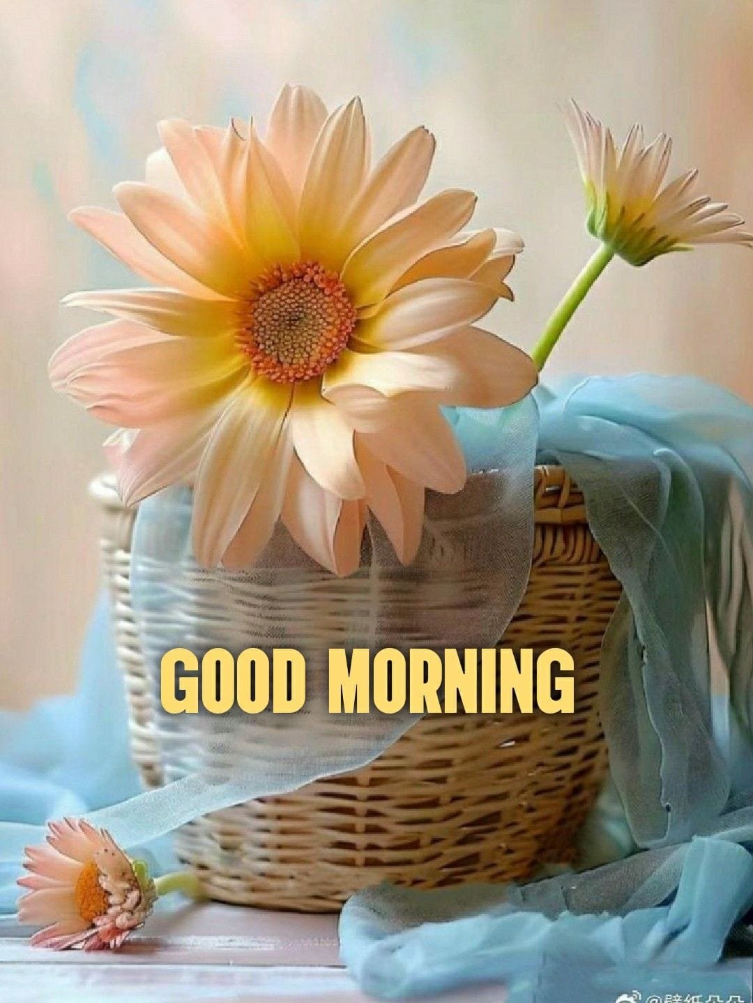 Good morning images english (7)