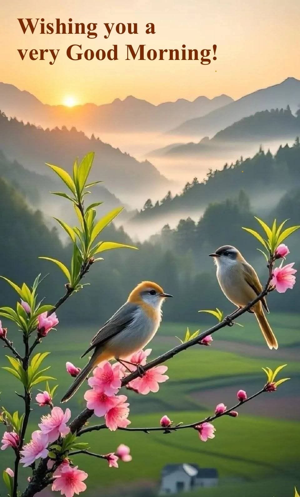 Good morning images english (8)