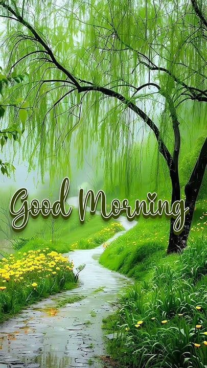 Good morning images for rainy day