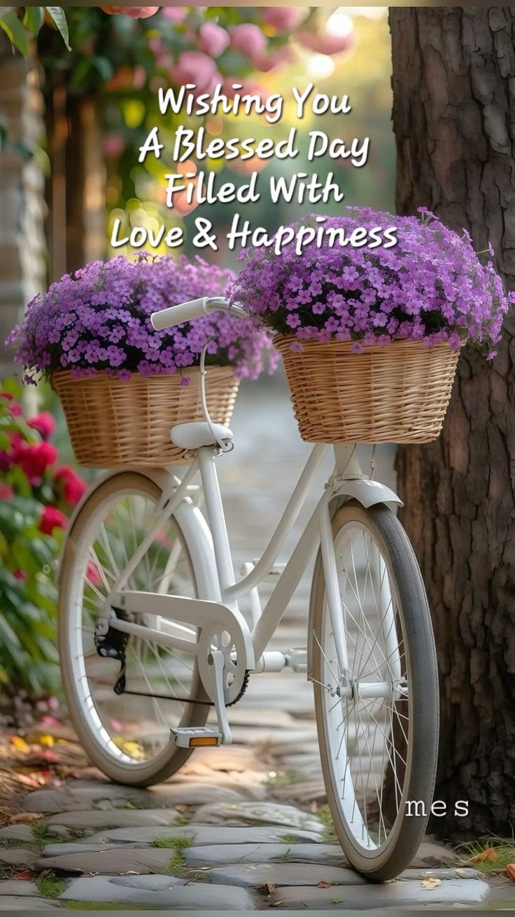 Good morning images for whatsapp (21)