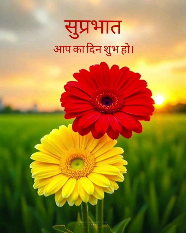 Good morning images hindi (1)