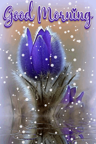 Good Morning Images Nature Beauty Gif
