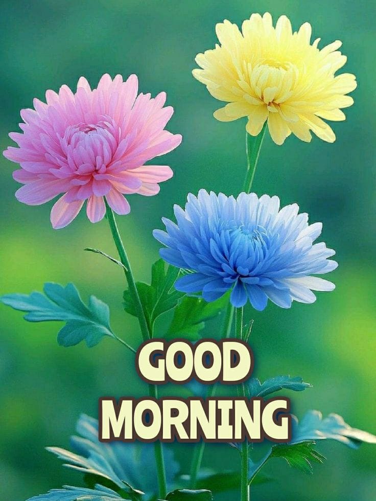 Good morning images new style (22)