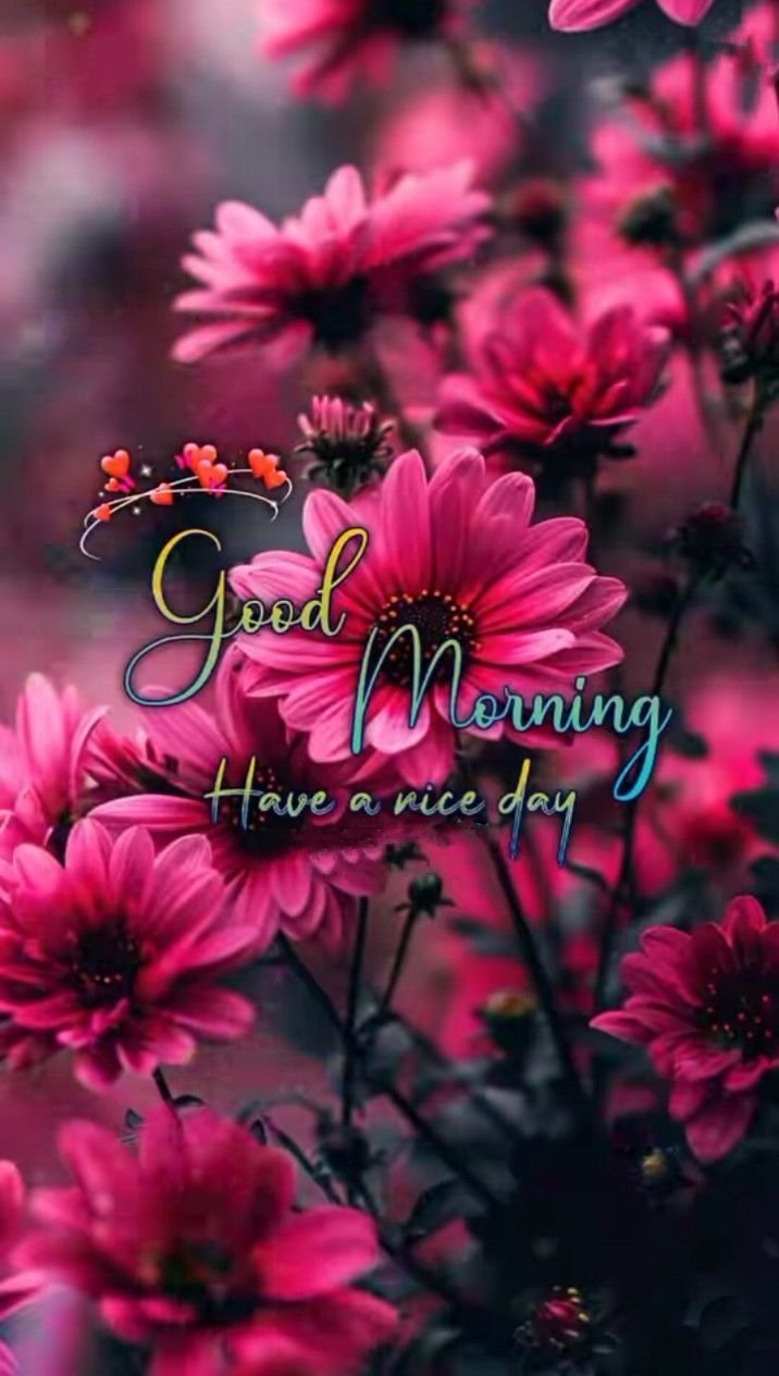 Good morning images new style (4)