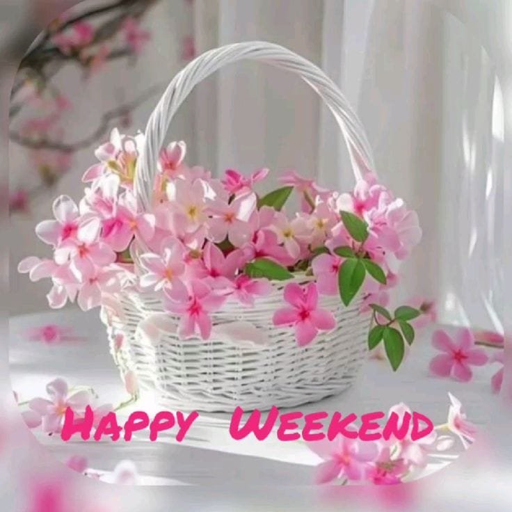 Good morning images sunday