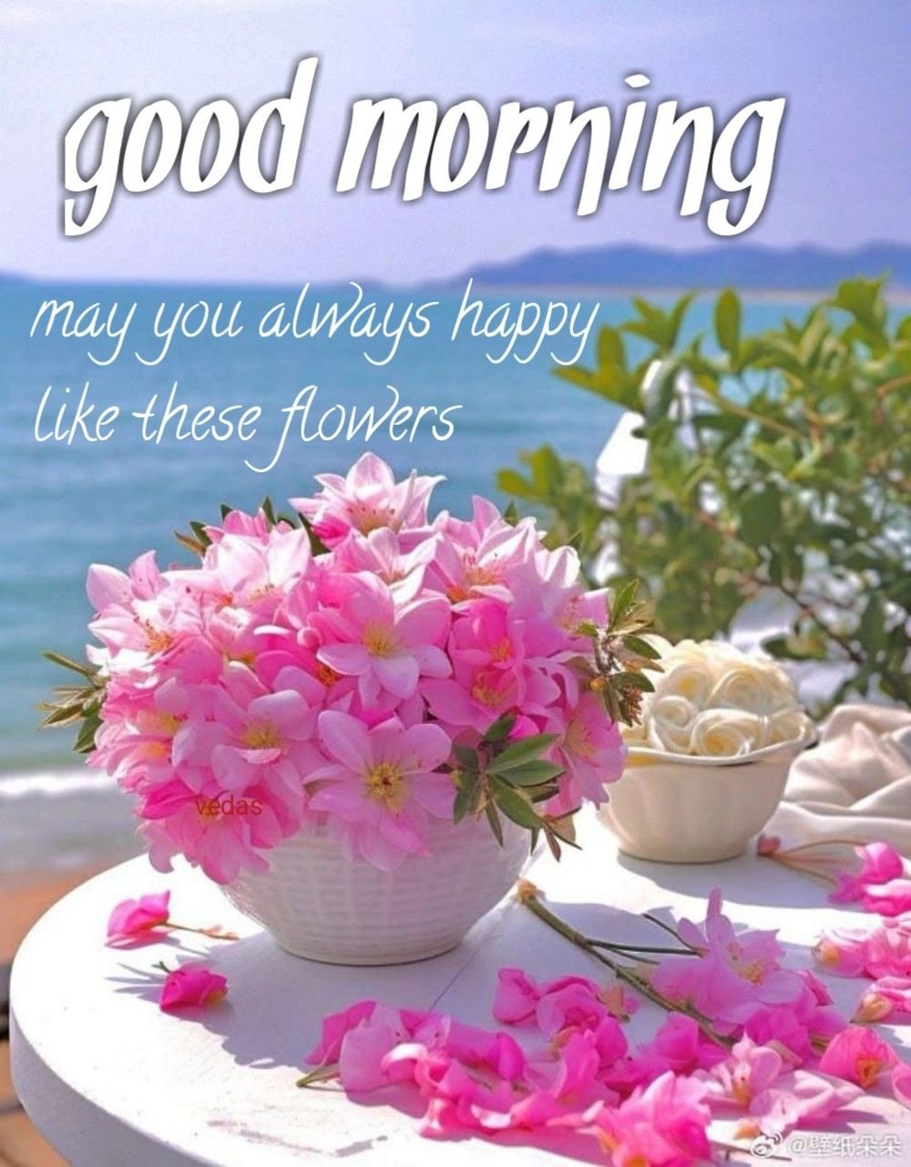 Good morning images with quotes (5)