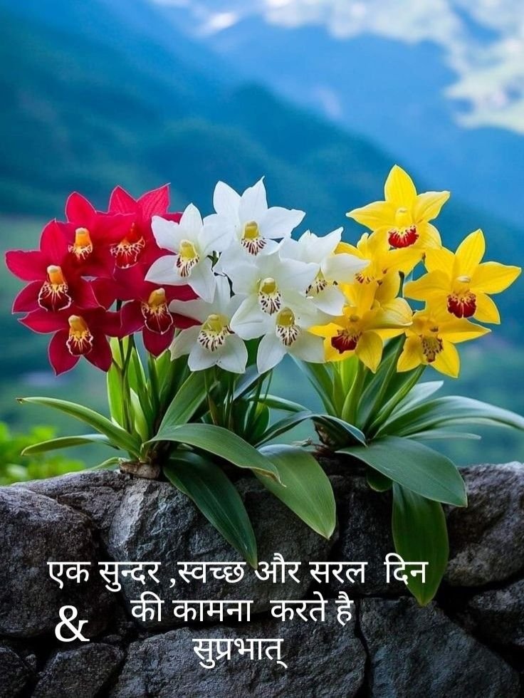 Good morning images with quotes in hindi (30)