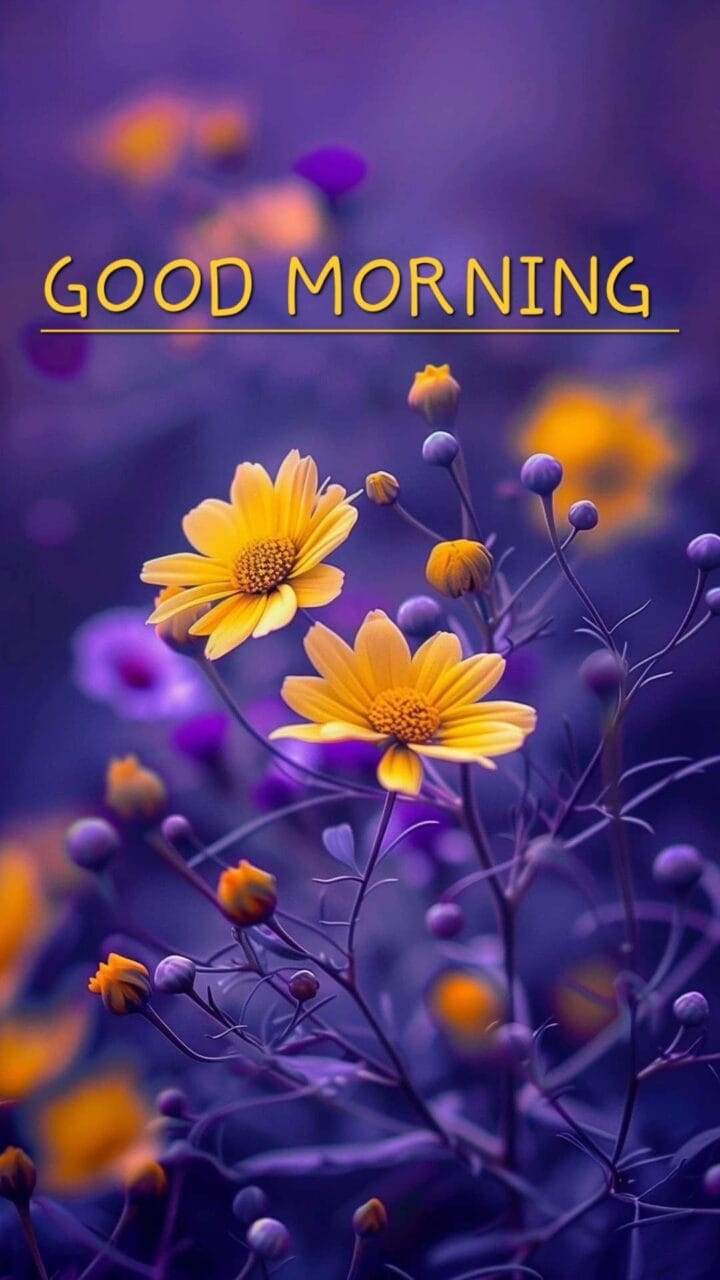 Good morning new style 2026