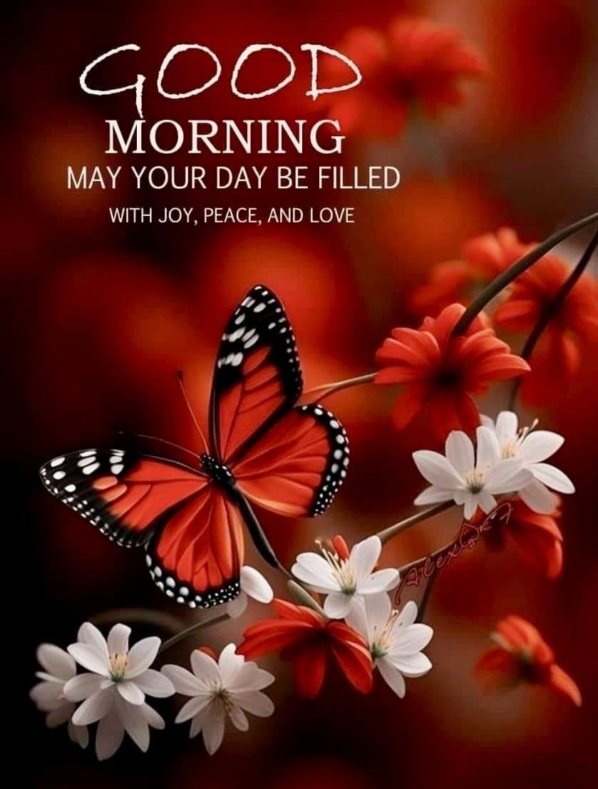 Good morning new style for whatsapp