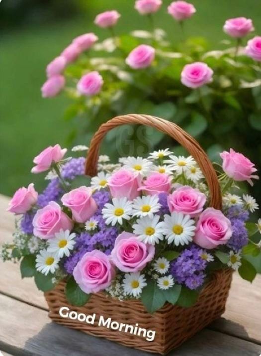Good morning new style for whatsapp