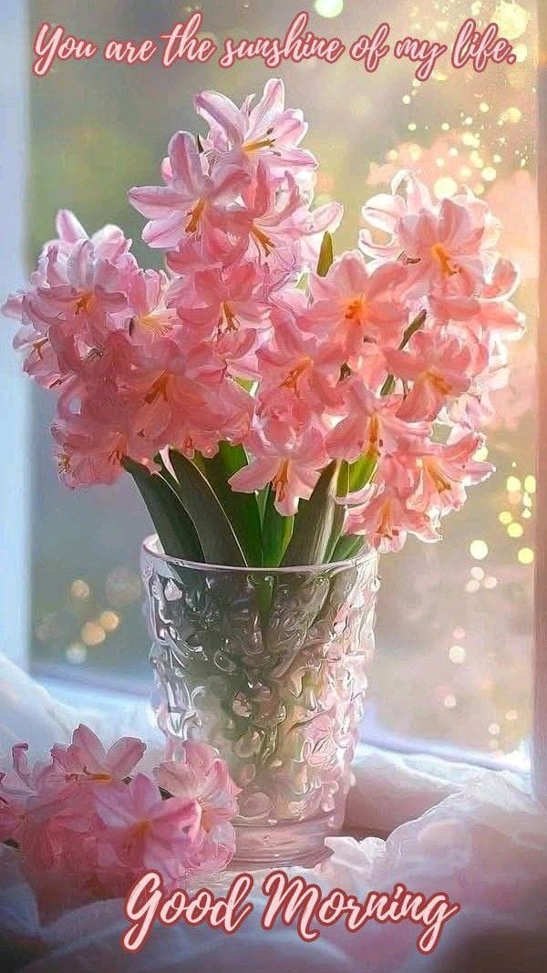 Good morning new style hd