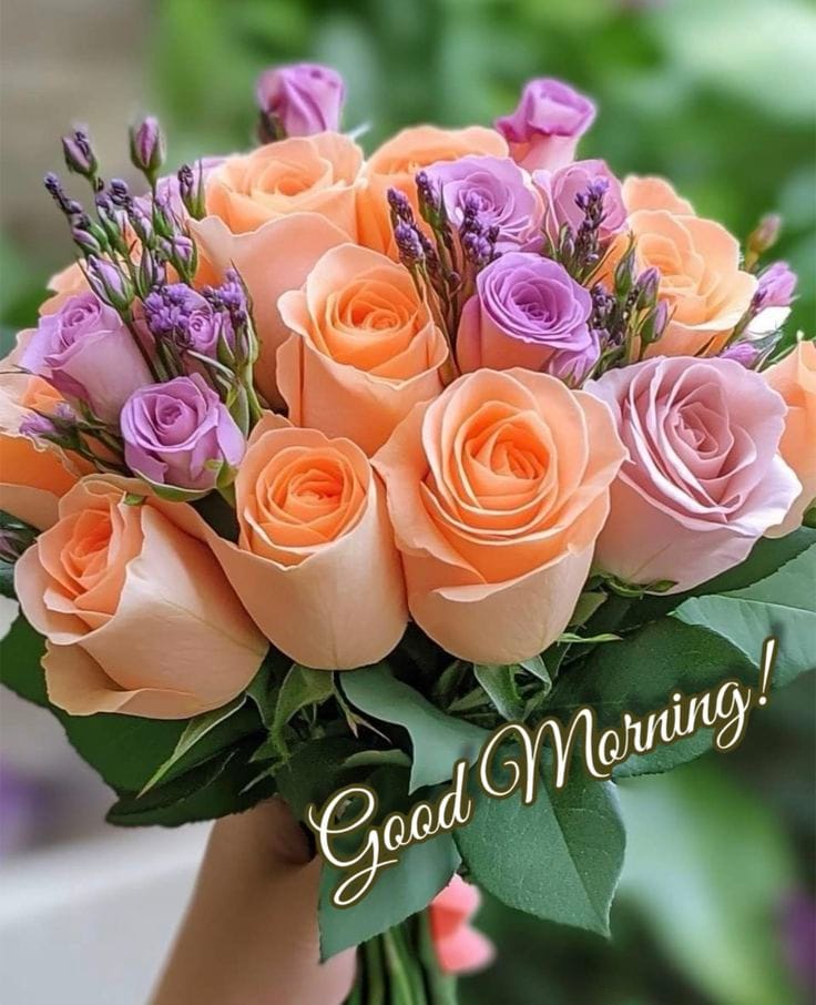 Good morning new style hd