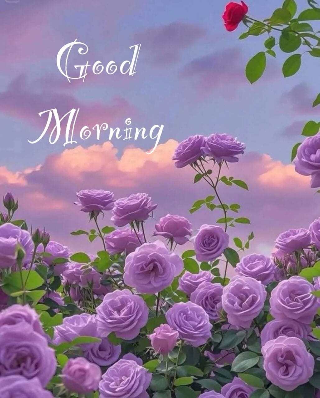 Good morning new style images