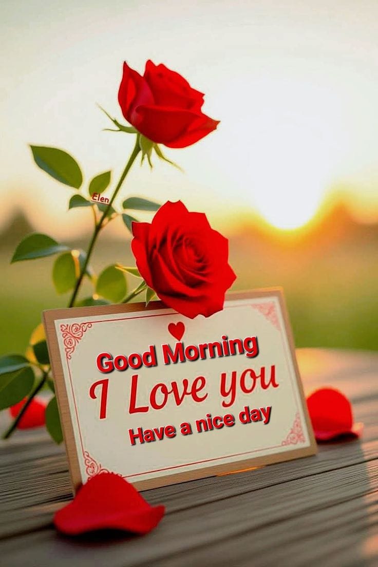 Good morning new style love