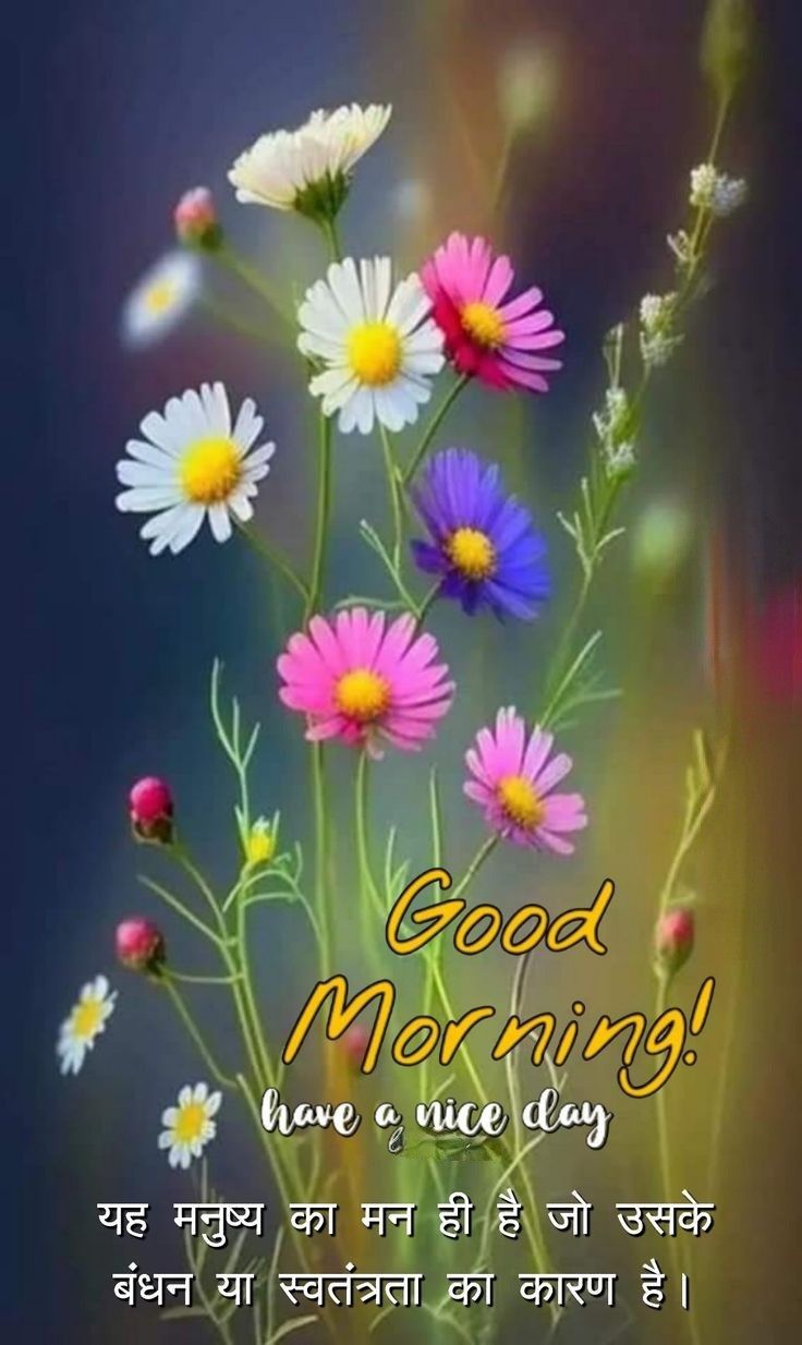 Good morning photo hindi (23)