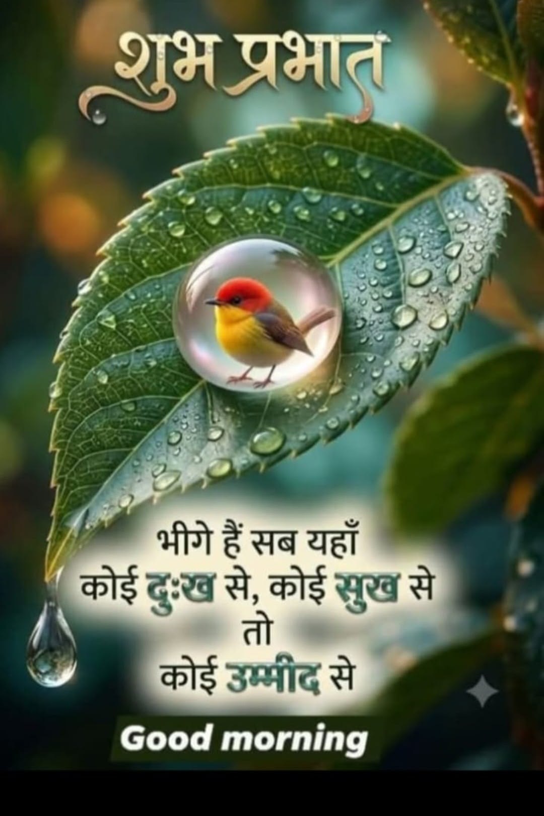 Good morning photo in hindi (15)
