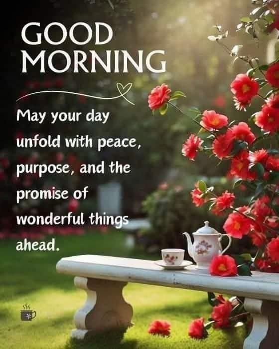 Good morning photos and quotes