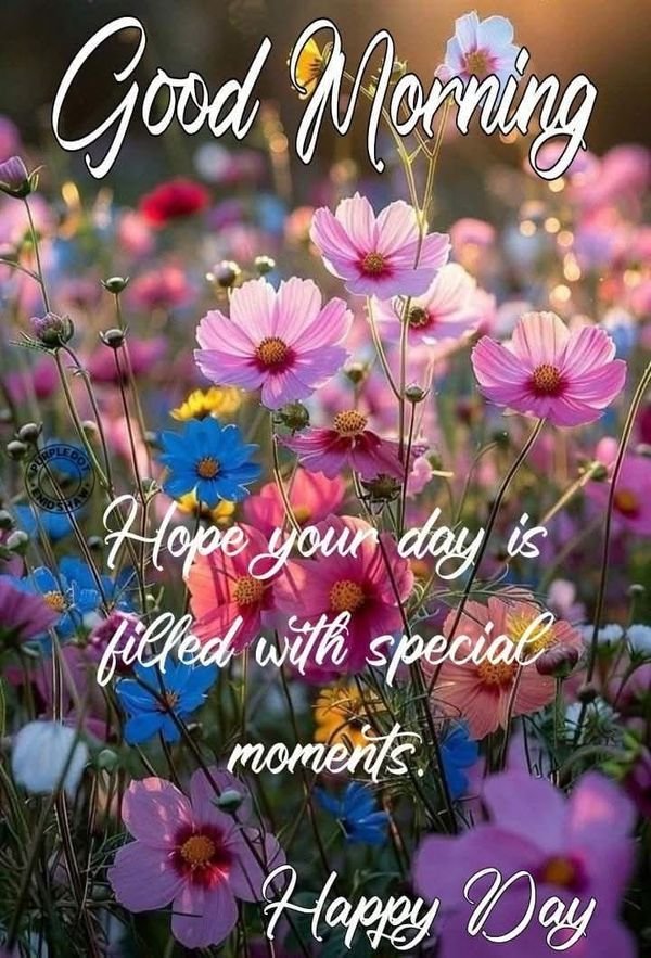 Good morning pic and quotes