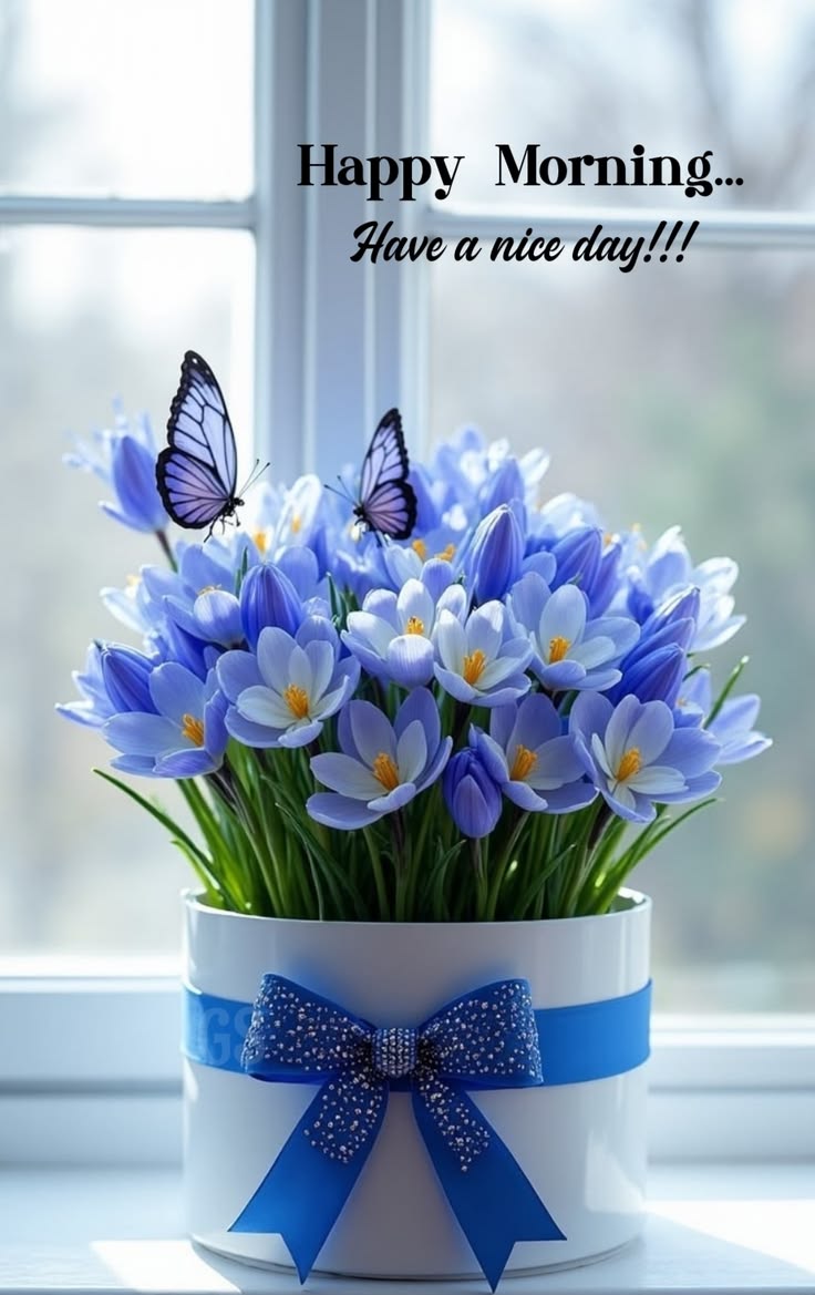 Good morning pic hd (10)