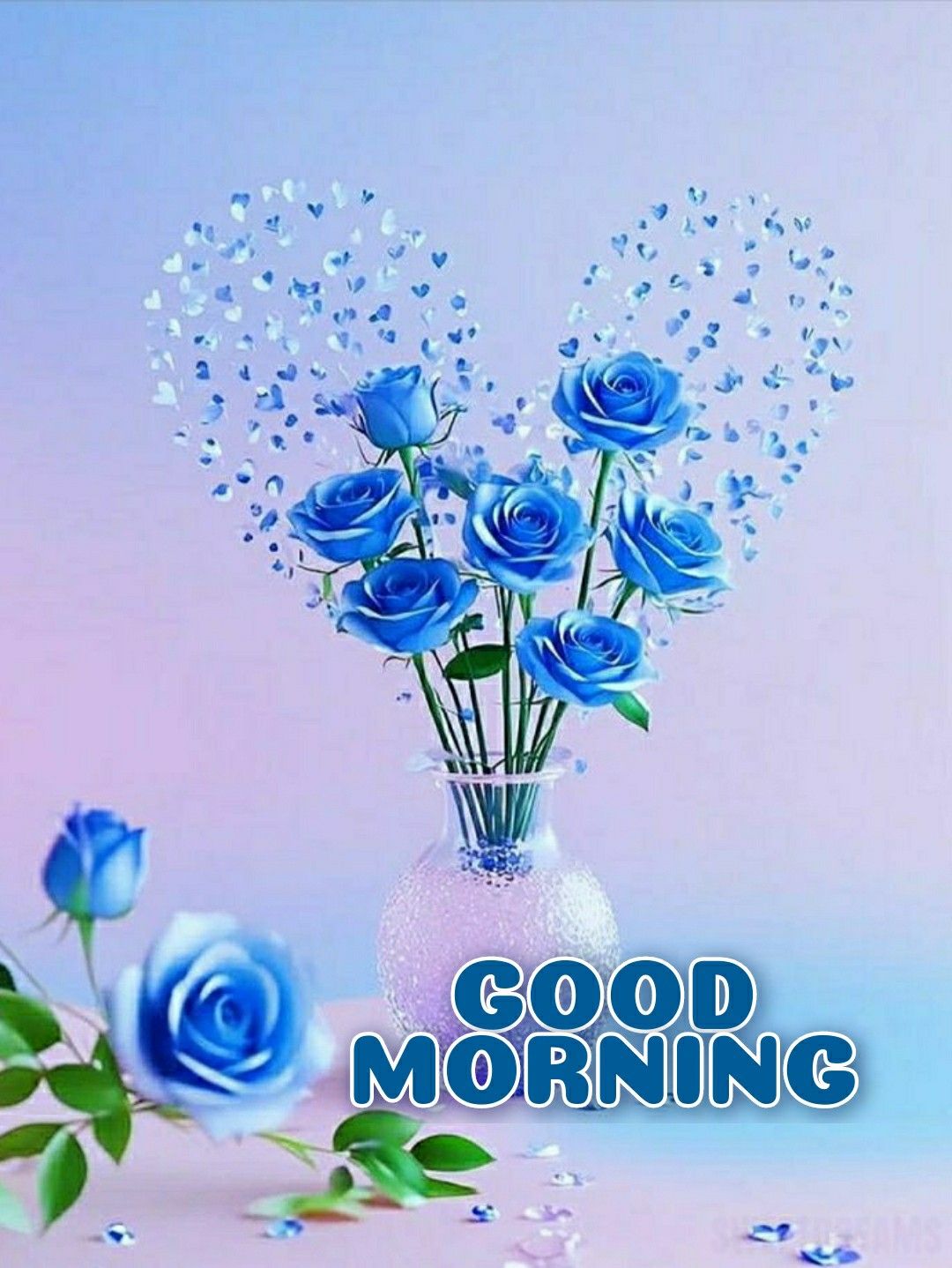 Good morning pic hd (3)