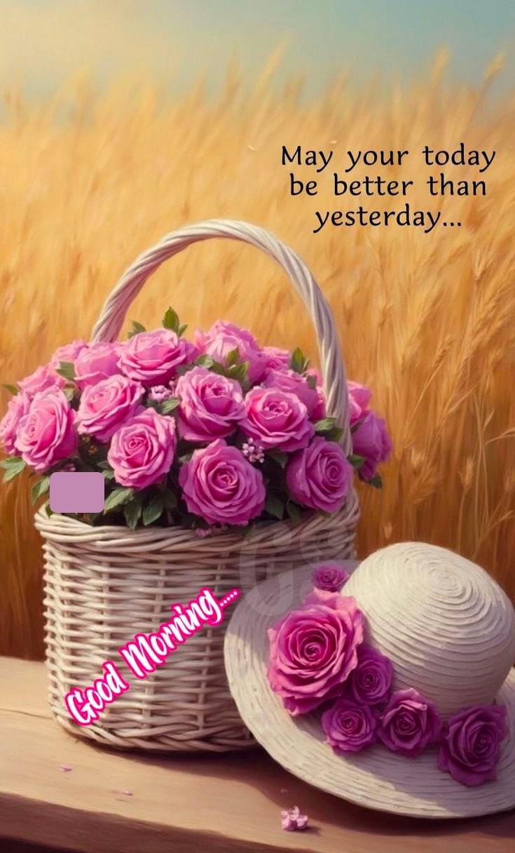 Good morning pic new (1)