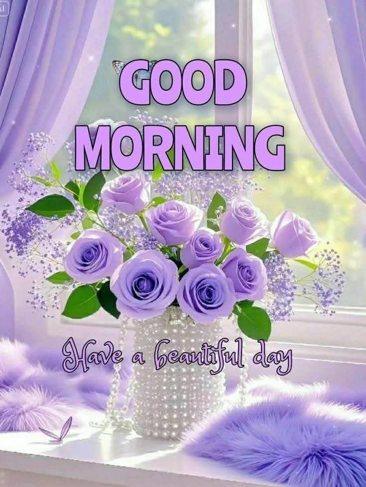 Good morning pic new (11)