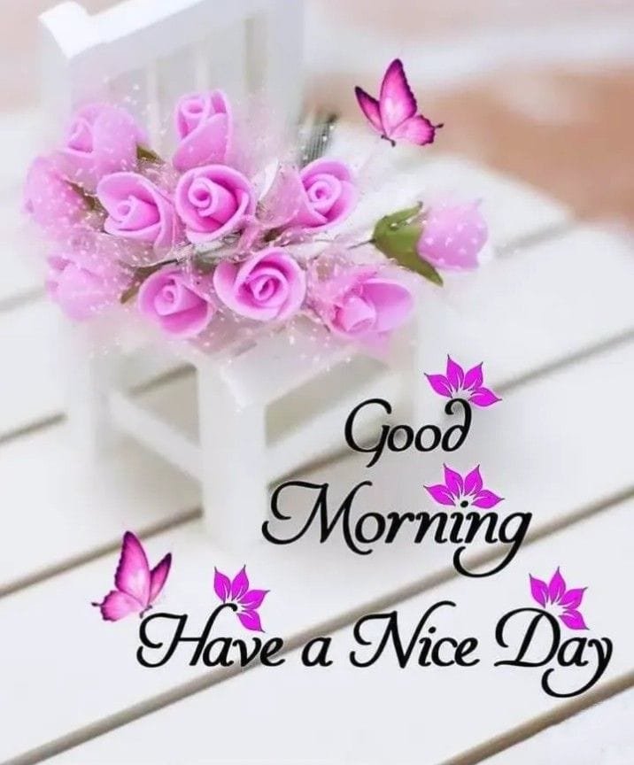 Good morning pic new (13)