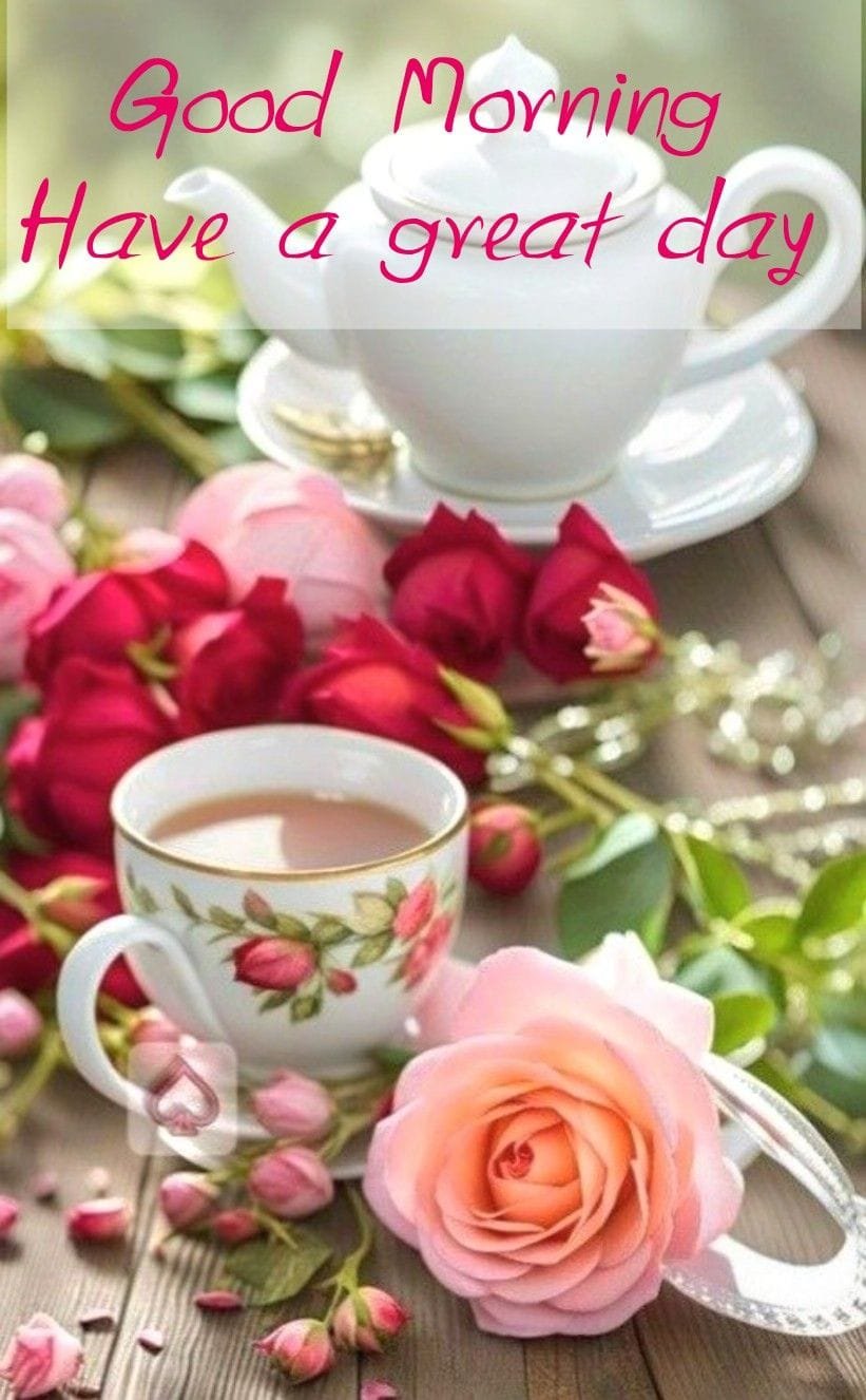 Good morning pic new (17)